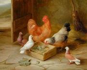 unknow artist Cocks 107 oil painting on canvas
